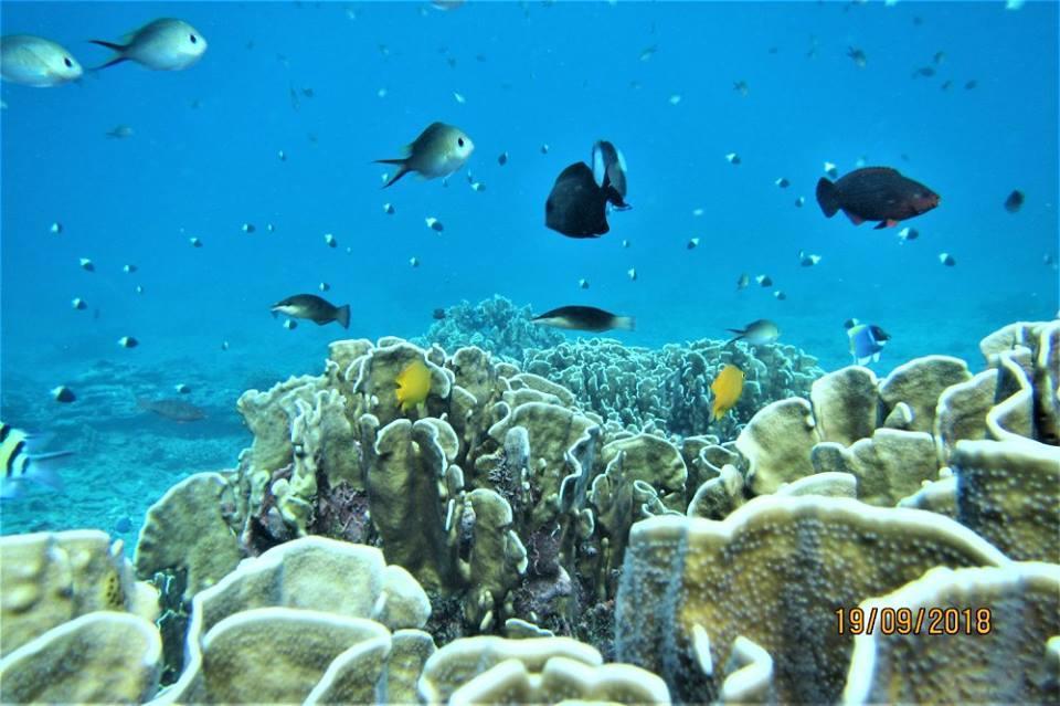 Pulau Weh Paradise سابانغ المظهر الخارجي الصورة